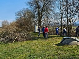 whatsapp image 2026-03-19 at 18.09.44 2